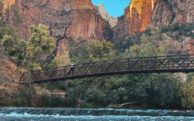 Zion nationalpark – heiligtum der canyons